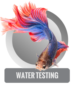 Water Testing